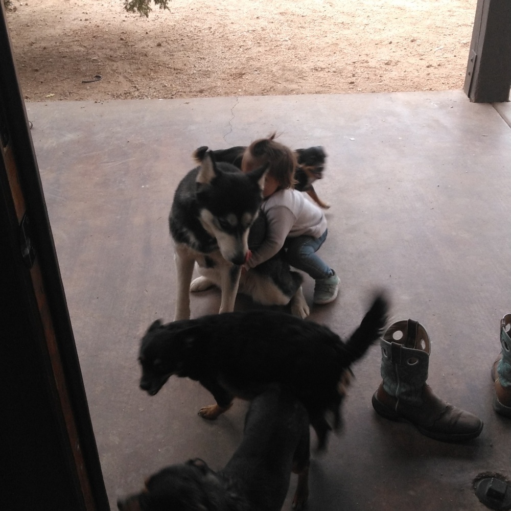 Meet your Posher, Ashley